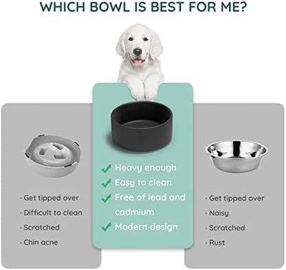 SPUNKYJUNKY 42OZ Ceramic Dog and Cat Bowl, Modern Cute Weighted Food Water Bowl for Replacement Black (1 Pack) - Image 6