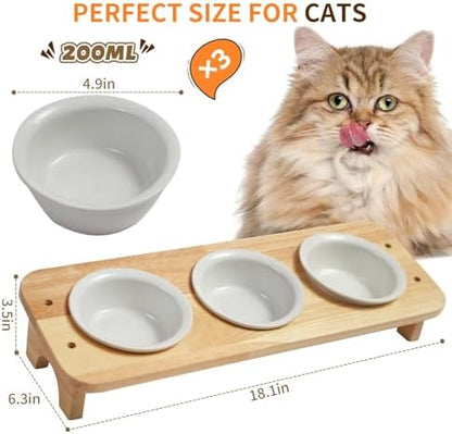 Elevated Cat Food Bowl, 3 Ceramic Raised Cat Basic Bowls with Stand, 15°Tilted Cat Bowl for Indoor Cats, Water Bowl Set,Dishwasher Safe(Large) - Image 2