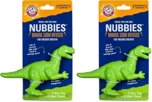 Arm & Hammer for Pets Nubbies Dental Toys T-Rex Dental Chew Toy for Dogs Best Dog Chew Toy for Moderate Chewers Reduces Plaque & Tartar Buildup Without Brushing, Mint Flavor (Pack of 2) by ArmHammer