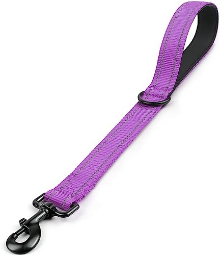 Joytale Short Dog Leash for Close Control & Training, 18", Purple by Joytale