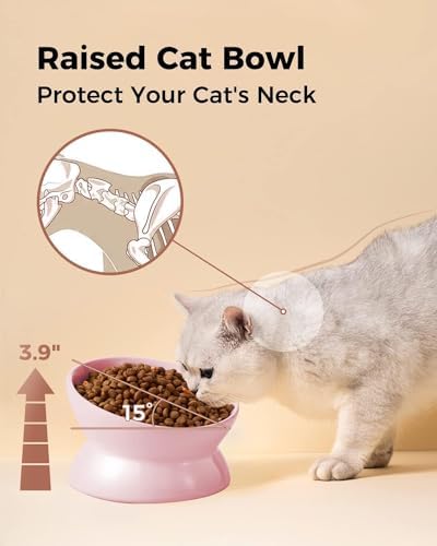 LoeJan Elevated Cat Food Bowl, 5 Oz Ceramic Raised and Tilted Water Bowl, Anti Vomiting and Protect Pets' Spines Dishes for Small Dog, Fat Faced Cat, Kitten (Pink, 2 Pack) - Image 6