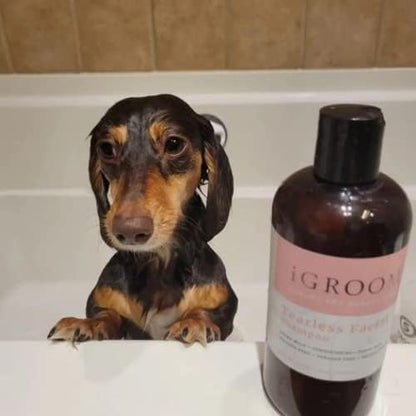 iGroom Tearless Facial Dog Shampoo, Luxury Pet Beauty Care, Ultra Mild to Eyes, Restore Skins Natural Moisture, Made in USA, 16 oz - Image 2