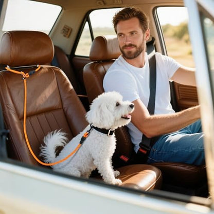 Pawaboo Dog Car Seatbelt, Reflective Rope with Heavy Duty Buckle, Orange - Image 7