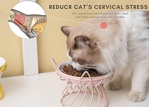 Set of 2 Elevated Ceramic Cat Dishes, Pink & Blue - Image 4