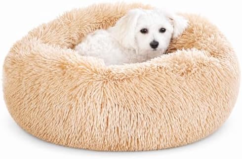 Whiskers & Friends Cat Beds for Indoor Cats & Small Dog, Fluffy Cat Bed by WhiskersFriends