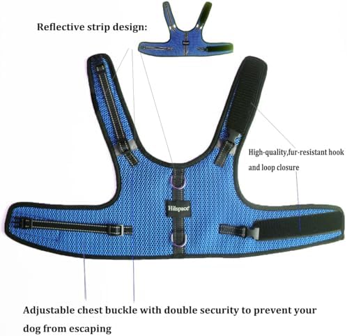 Mini Dachshund Harness Vest, No Pull & No Armpit Rub Dachshund Harness, Escape Proof Adjustable Dog Harness for Walking (Blue, L: Chest 53-63cm (21"-25")) - Image 2