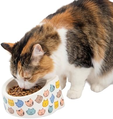 Kitty City Elevated Melamine Cat Bowl - Raised Tilted Dish for Food & Water, Sturdy Non-Slip Base, Non-Porous & Break Resistant, Dishwasher Safe, Indoor or Outdoor Pets – 5.4oz capacity, Colorful Cats by KittyCity
