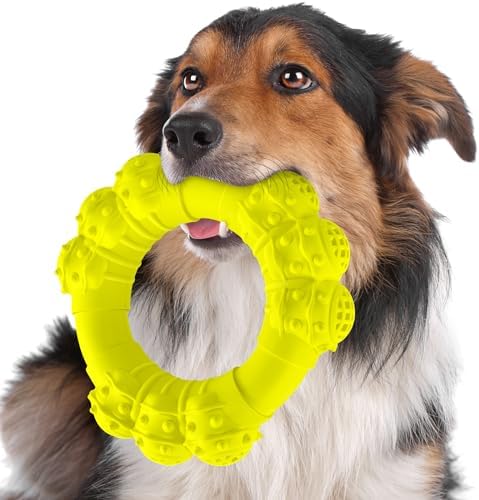 Indestructible Dog Chew Ring Toys for Aggressive Chewers, Super Chewer Dogs Toy for Medium Large Dogs, Puppy Teething Rings for Relax, Interactive Dog Toy, Heavy Duty Teething Toys by DAOZIJI