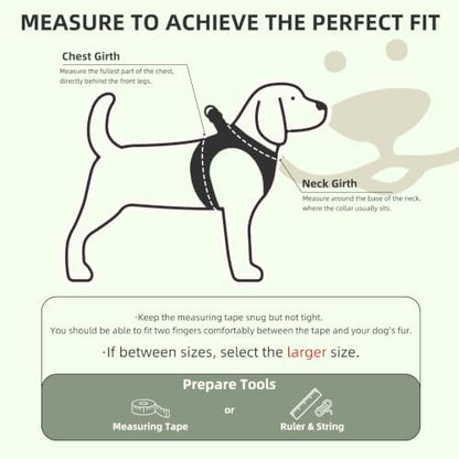 PUPTECK Dog Harness, Collar and Leash Set No Pull for Small Medium Sized - Image 2