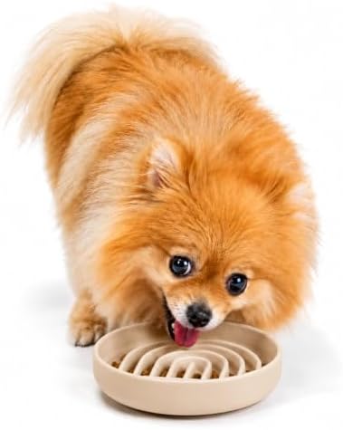 Slow Feeder Dog Bowl - Silicone Dog Bowl, Small, 6" x 1.25" - Tan by ShouldWeGo