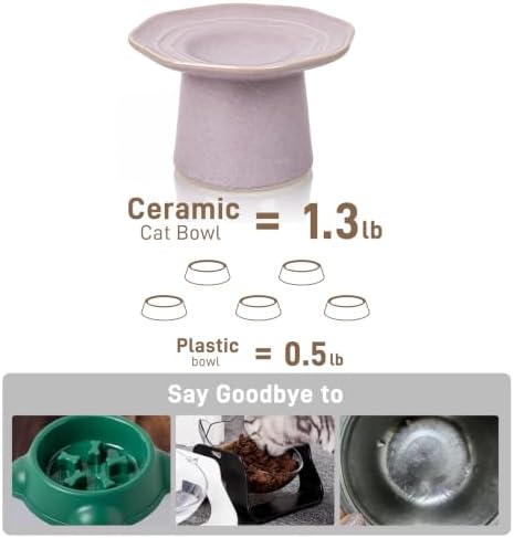Shallow Cat Food Bowls Eleveted Wide 6" Cat Dish Raised Ceramic Plate, Stress Free, Whisker Fatigue, Dusty Mauve - Image 6