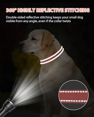 Joytale Feather-Light Dog Collar for Medium & Large Dogs, 1", Neon Pink - Image 5