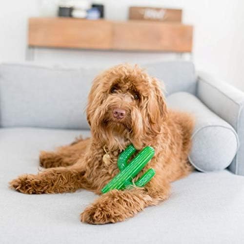 ZippyPaws ZippyTuff Dog Chew Toy - Durable Rubber Chew Toy, Puppy Teething Toys, Tough & Squeaky Toys for Small, Medium, & Large Dogs, Flexible TPR Material - Cactus