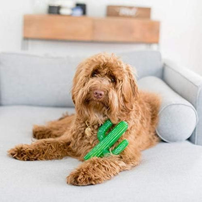 ZippyPaws ZippyTuff Dog Chew Toy - Durable Rubber Chew Toy, Puppy Teething Toys, Tough & Squeaky Toys for Small, Medium, & Large Dogs, Flexible TPR Material - Cactus