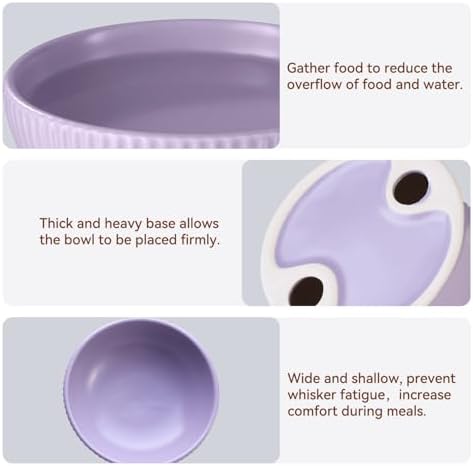 Ceramic Elevated Cat Bowls-Water Bowl, 15° Tilted Design, Anti-Vomiting & Spine Protection, Prevent Whisker Fatigue for Kittens to Adult Cats and Small Dogs (White-15° Cat Bowls-2) - Image 5