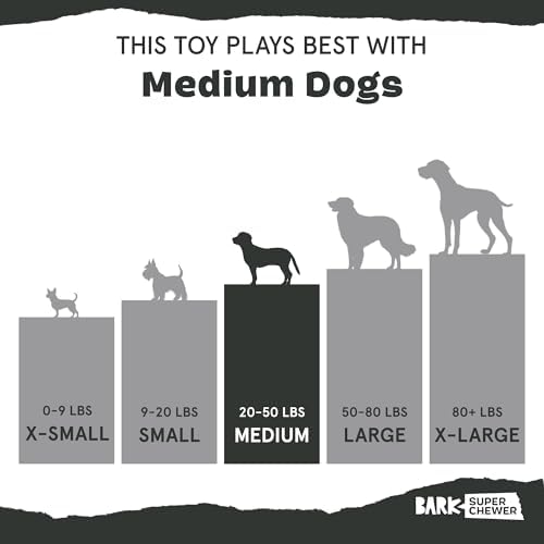 Barkbox Pumpkin Prodigy Dog Toy | Treat-Dispensing Rubber Dog Toy for Aggressive Chewers | Durable Dog Chew Toy for Medium Dogs & Puppy Essentials - Image 5