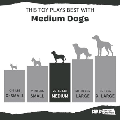 Barkbox Pumpkin Prodigy Dog Toy | Treat-Dispensing Rubber Dog Toy for Aggressive Chewers | Durable Dog Chew Toy for Medium Dogs & Puppy Essentials - Image 5