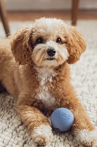 Harry Barker Natural Rubber Dog Fetch Balls, Durable High-Bounce Interactive Toy with Safety Air Vent, Treat-Stuffable Rubber Balls for Dogs, 2.5 Inch, 6-Pack - Image 6
