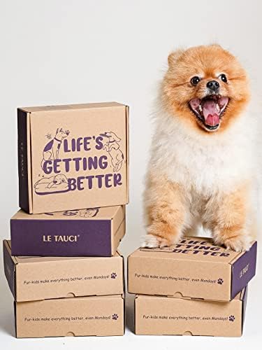 LE TAUCI Ceramic Slow Feeder Dog Bowls Small Breed, 0.6 Cups Dog Food Dish for Fast Eaters, Puzzle Bowl for Small Dogs and Cats,Sun Orange - Image 3