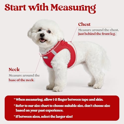rabbitgoo Dog Harness Medium Sized and Leash Set, Step-in Puppy Pet Vest - Image 2