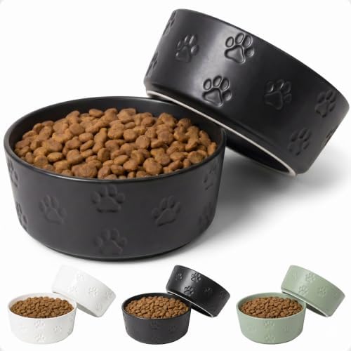 Ceramic Dog Bowl Set of 2 with Anti-Skid Base 7.5" W x 3" H, 6 Cup Capacity by HBDesignCo