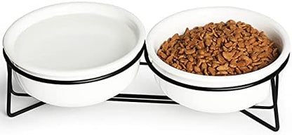 GDCZ Elevated 15 Oz Ceramic Double Cat Bowls with 11.6x2.5 Inch Stand (White) by GDCZ