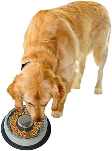Mr. Peanut's Stainless Steel Interactive Slow Feed Dog Bowl with a Blue Silicone Base, Fun Healthy Bloat Stop Feeder (Medium)