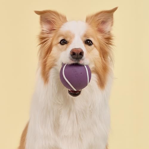 Playology Squeaky Chew Ball Dog Toy - Jumbo, Bacon Scent - Image 3