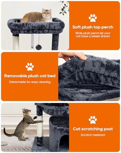 SYANDLVY Small Cat Tree for Indoor Cats, Cat Tower with Scratching Post - Image 4