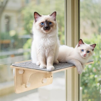 Pecute 2-in-1 Large Cat Window Perch & Wall Shelves, Solid Wood, 21"x11" by pecute