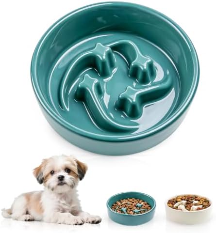 Ceramic Slow Feeder Dog Bowls,0.6 Cups Dog Food Dish for Small Medium Dogs by Unknown