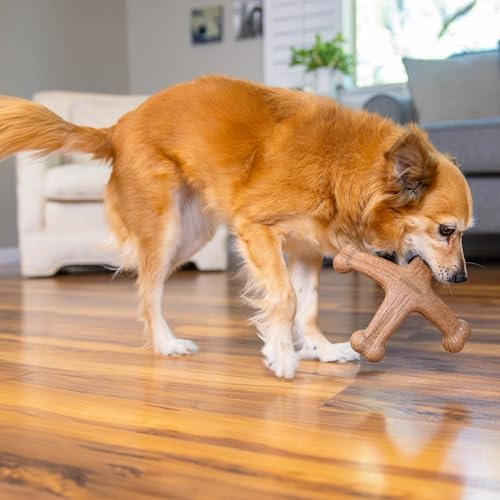 by Petstages Dogwood Jack Dog Chew Toy – Real-Wood Blend, Bacon Scented, 4 Chewable Ends, Moderate Chewers, Large, 7.5" x 2" - Image 6