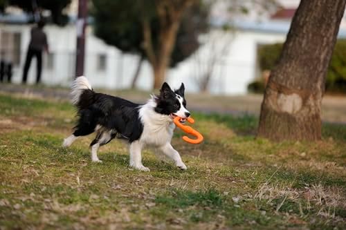 WEST PAW Zogoflex Bumi Dog Tug Toy – S-Shaped, Lightweight Chew Toys for Fetch, Play, Pet Exercise – Tug of War Soft Flinging Squishy Chewy Toy for Dogs – Guaranteed, Latex-Free, Small 8", Tangerine - Image 2