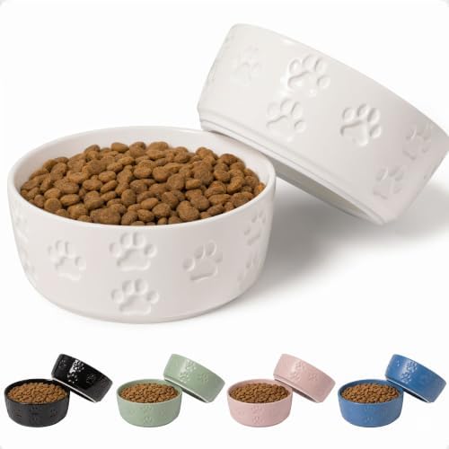 Ceramic Dog Bowl Set of 2 with Anti-Skid Base, 5.5"W x 2"H, 2 Cup Capacity by HBDesignCo