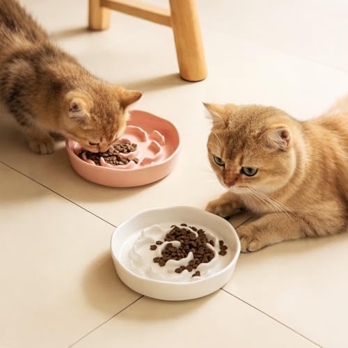 Small Slow Feeder Cat Bowls 4PCS Anti-Choking Puzzle Slow Feeding Dog Bowls with Non-Slip Base, Interactive Slow Feeder for Small Breeds, Bloat Prevention Maze Dish, 1 Cup Capacity - Image 7