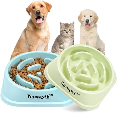 2 Pack Slow Feeder Dog Bowls for Medium Dogs & Cats by Yopnoyik