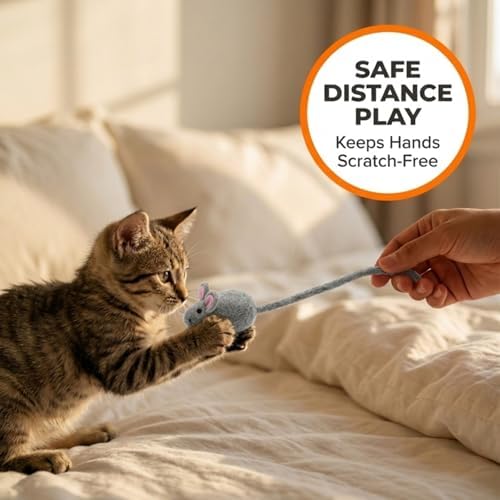 Glaciart One Mini Felt Mouse Cat Toy – Kitten & Small Cat Size, Natural Wool Catnip Toy, Soft Fuzzy Interactive Play Toy for Indoor Kittens, Safe Non-AZO Dyes, 1.4” Body with 12” Tail - Image 3