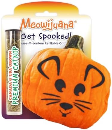 Meowijuana Fall Pumpkin Refillable Cat Toy | Plush Catnip Toy by Meowijuana