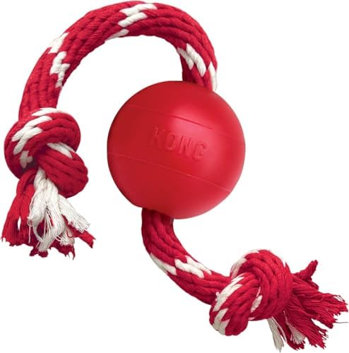 Kong Ball with Rope, Natural Rubber Fetch and Tug Toy, Red, for Small Dogs by KONG