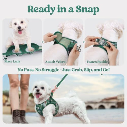 rabbitgoo Dog Harness Small Sized and Leash Set, Step-in Puppy Pet Vest - Image 5