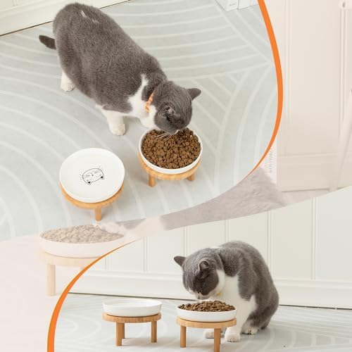 Lusifaco Shallow Wide Elevated Cat Bowls Whisker Fatigue (Blue,Set of 2) - Image 6