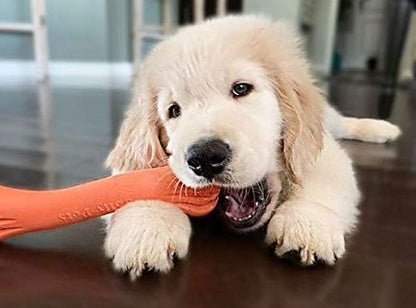 Jolly Pets 9-inch, Jolly Bone, Orange, Large