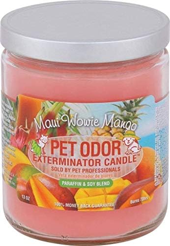 Maui Wowie Mango Pet Odor Exterminator 13 Ounce Jar Candle - Pack of 2 by Unknown