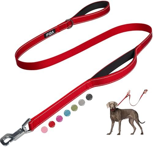 Fida Heavy Duty Dog Leash for Medium Large Dogs, 5 FT, Dual Padded Handles by Fida