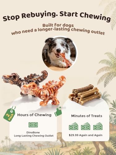DinoBone 2-Pack Tough Dog Chew Toys for Aggressive Chewers, Rock-Hard Nylon - Image 6