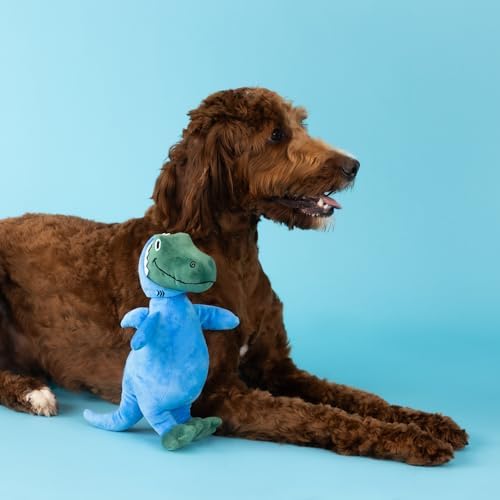 Fringe Studio Dog Plush Pet Toy with Squeaker, Feelin’ Jawsome! (289626) for All Breed Sizes, Medium, Multicolor - Image 2