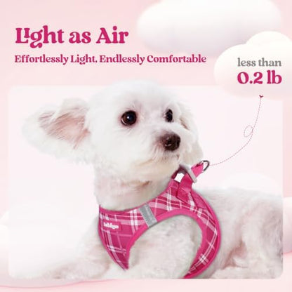 rabbitgoo Dog Harness Medium Sized and Leash Set, Step-in Puppy Pet Vest - Image 3