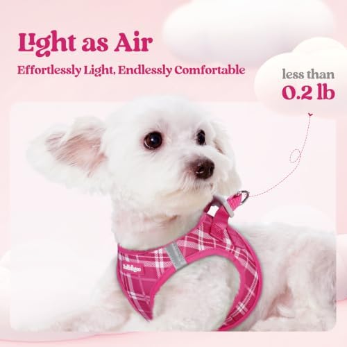 rabbitgoo Dog Harness Small Sized and Leash Set, Step-in Puppy Pet Vest - Image 3
