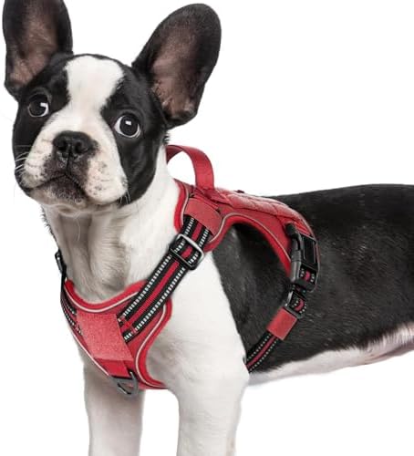 rabbitgoo Tactical Dog Harness for Small Dogs, No Pull Service Pet Vest by rabbitgoo
