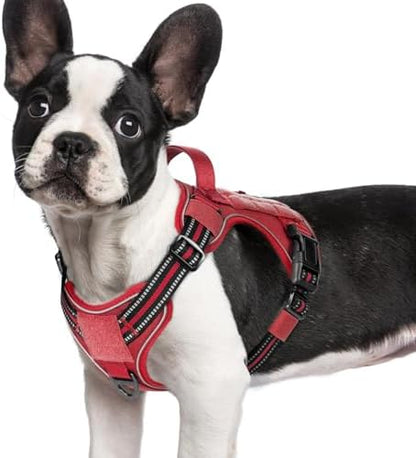 rabbitgoo Tactical Dog Harness for Small Dogs, No Pull Service Pet Vest by rabbitgoo